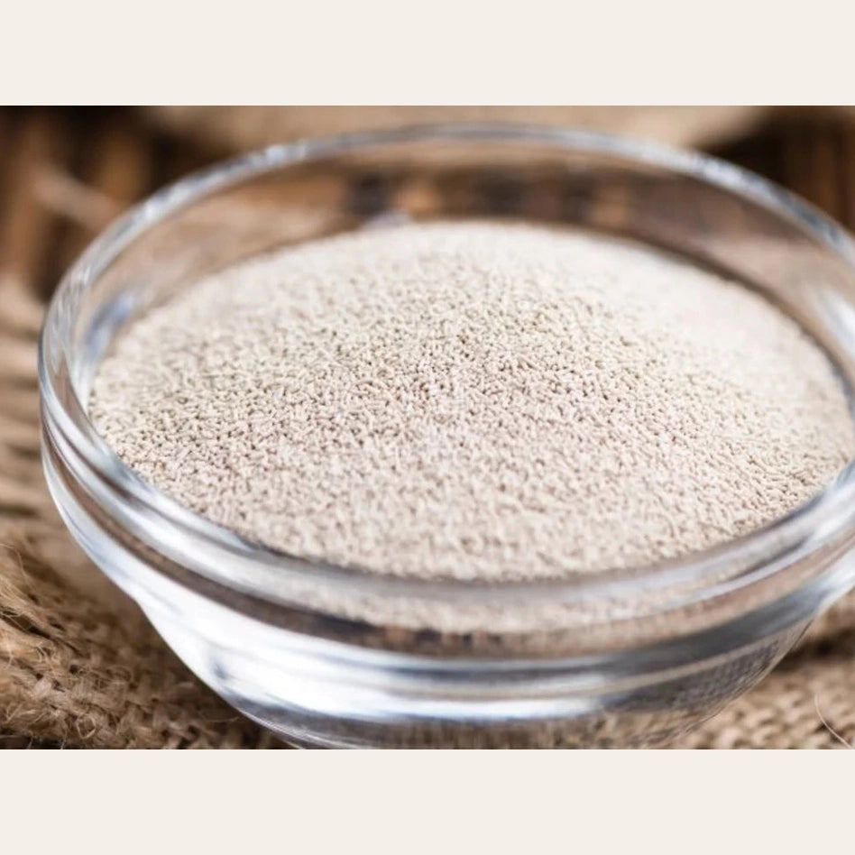 Dried Yeast